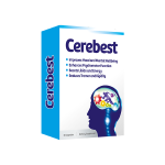 Cerebest